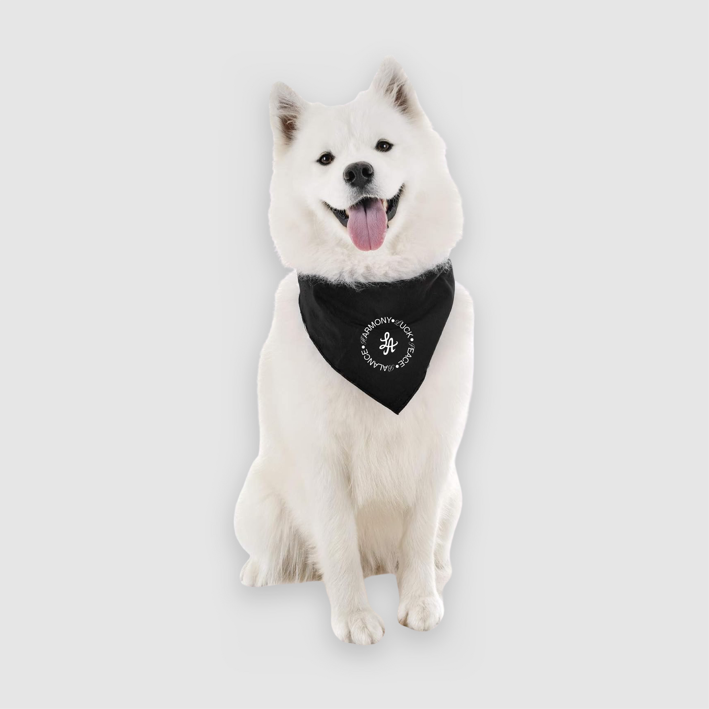 LA HOT ROD DOG BANDANA